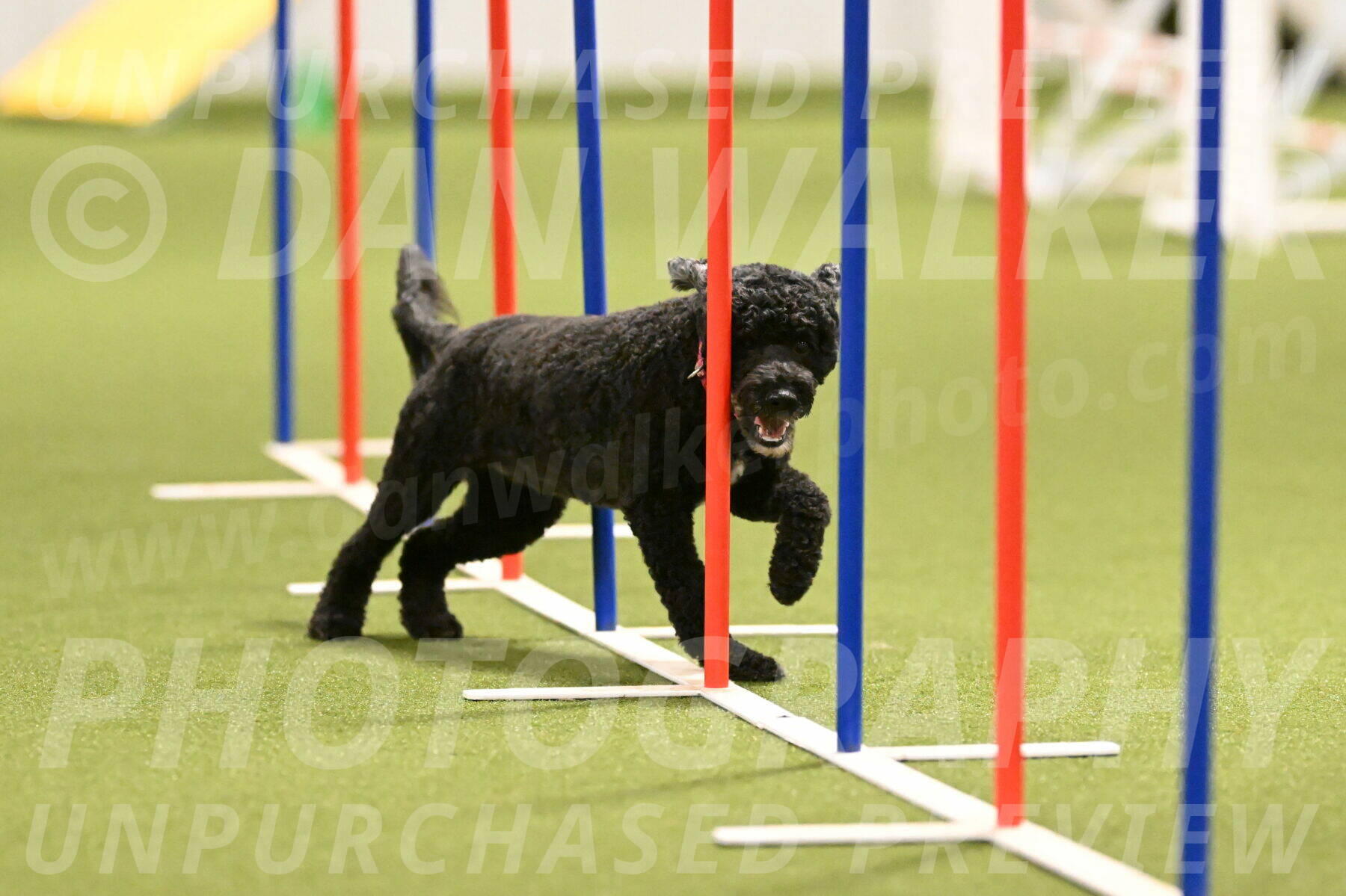 Nixie-Stacie-Rosenburg-00455