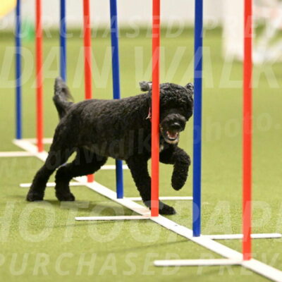 Nixie-Stacie-Rosenburg-00455