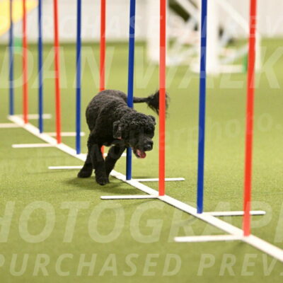 Nixie-Stacie-Rosenburg-00456