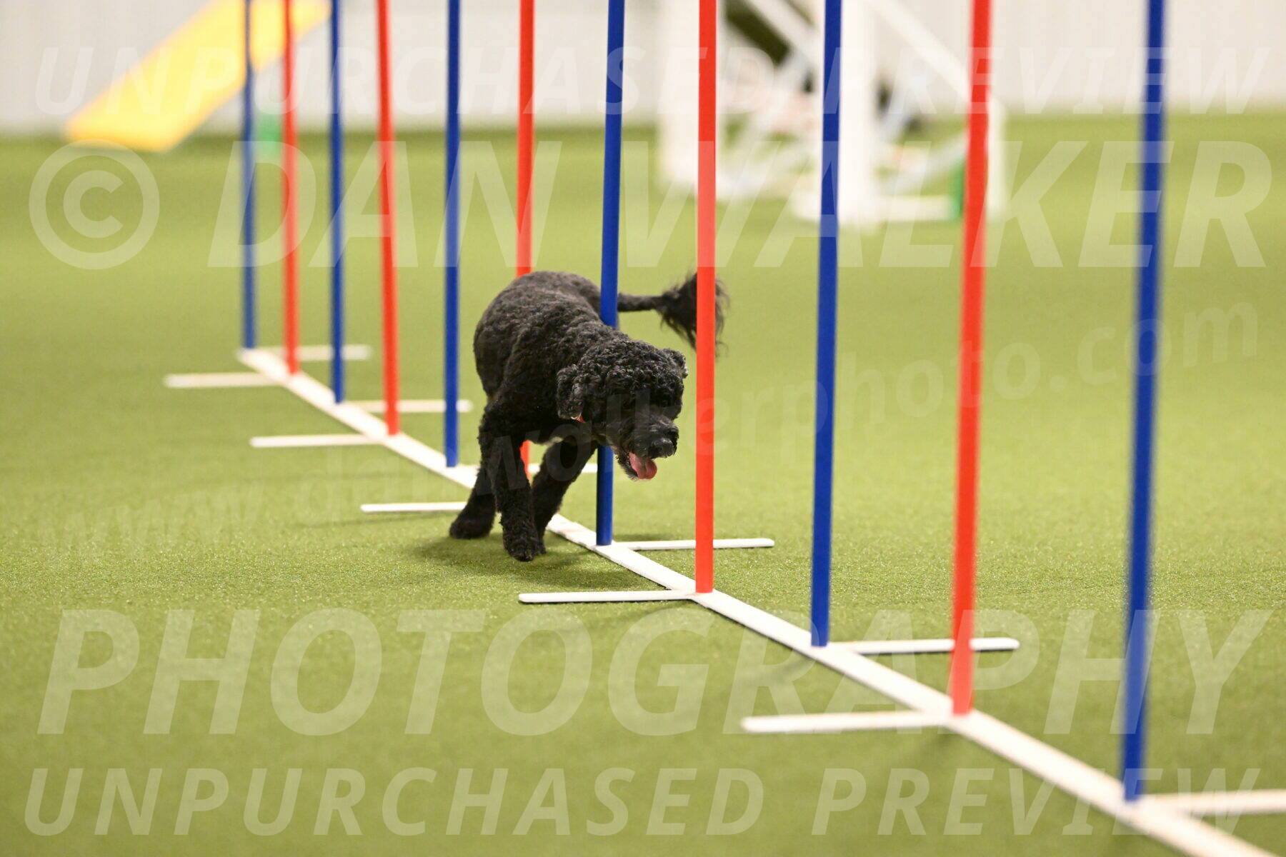 Nixie-Stacie-Rosenburg-00456