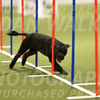 Nixie-Stacie-Rosenburg-00457