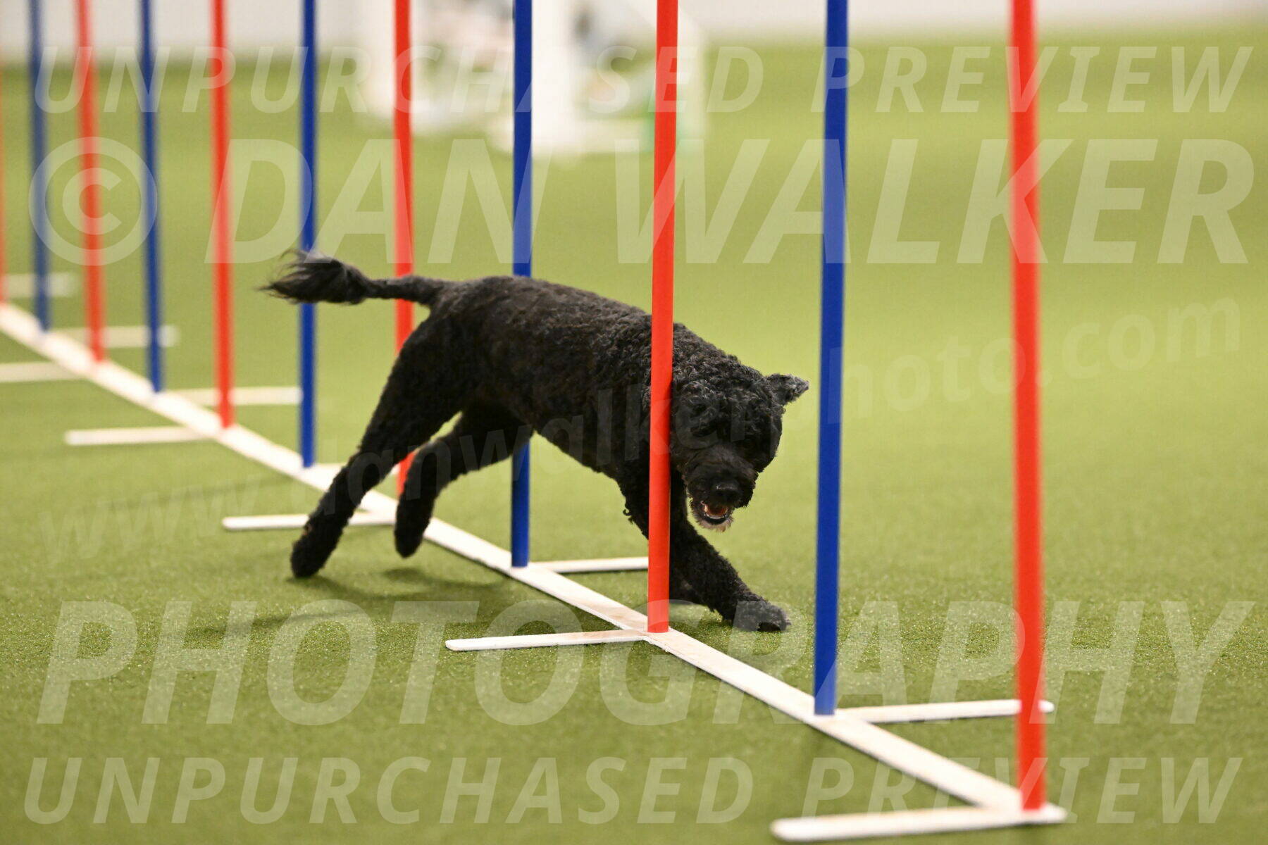 Nixie-Stacie-Rosenburg-00457