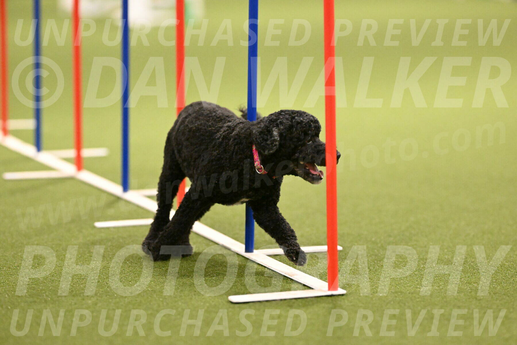 Nixie-Stacie-Rosenburg-00458