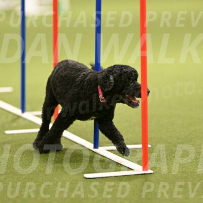 Nixie-Stacie-Rosenburg-00458