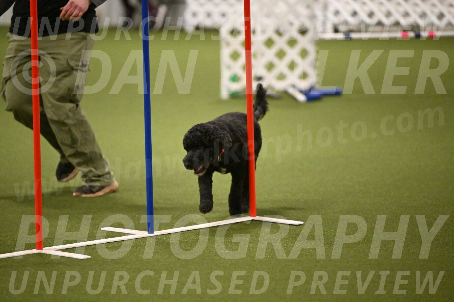 Nixie-Stacie-Rosenburg-00459