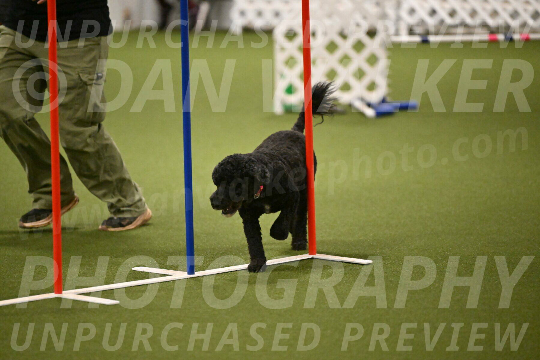 Nixie-Stacie-Rosenburg-00460