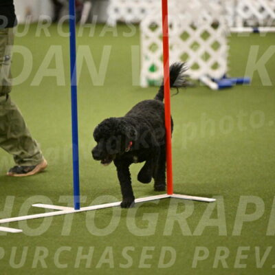 Nixie-Stacie-Rosenburg-00460