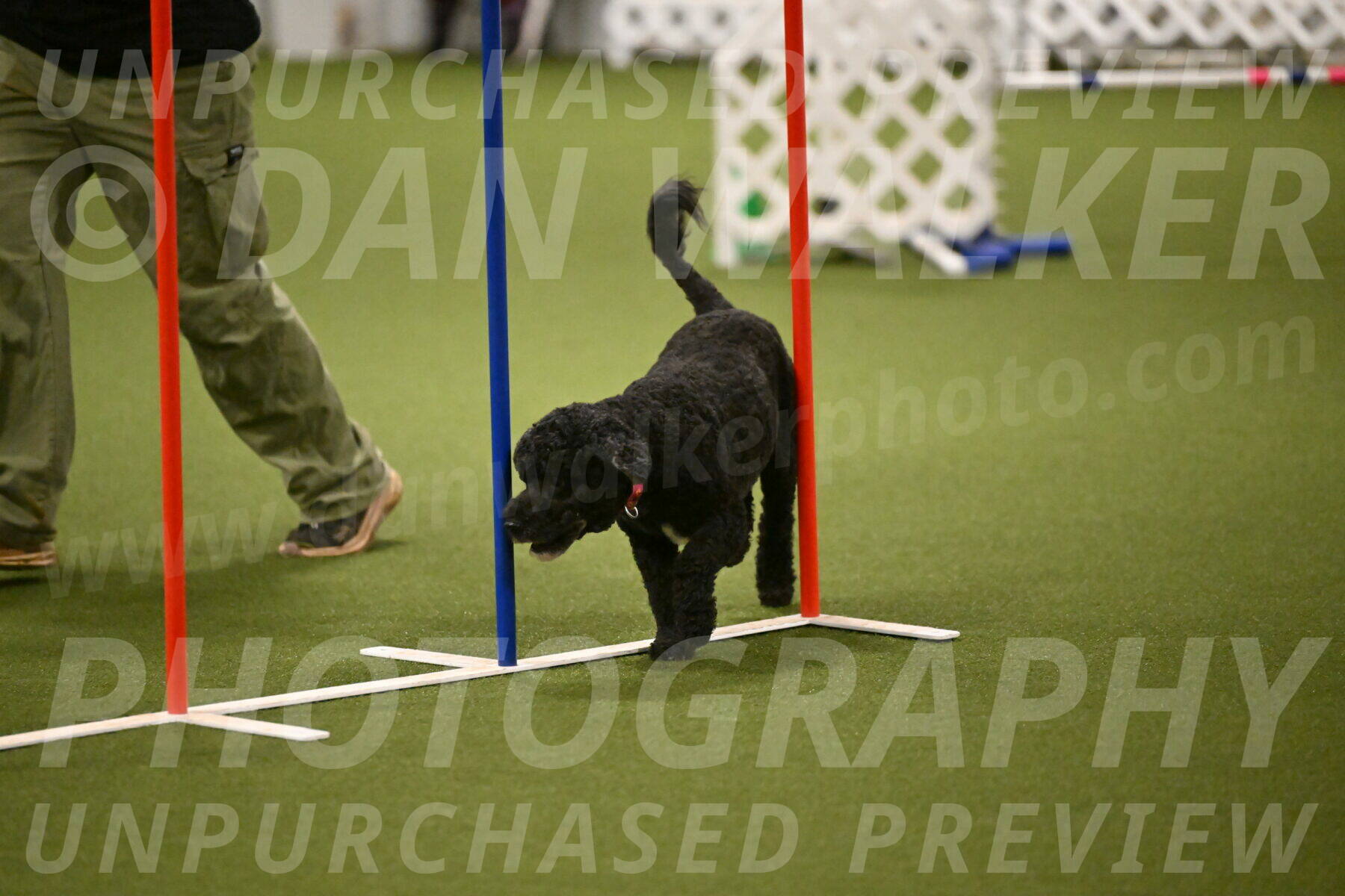 Nixie-Stacie-Rosenburg-00461