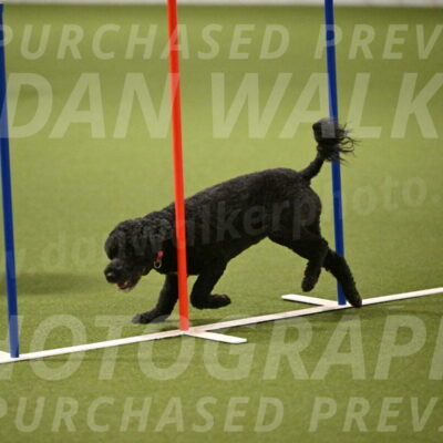 Nixie-Stacie-Rosenburg-00462