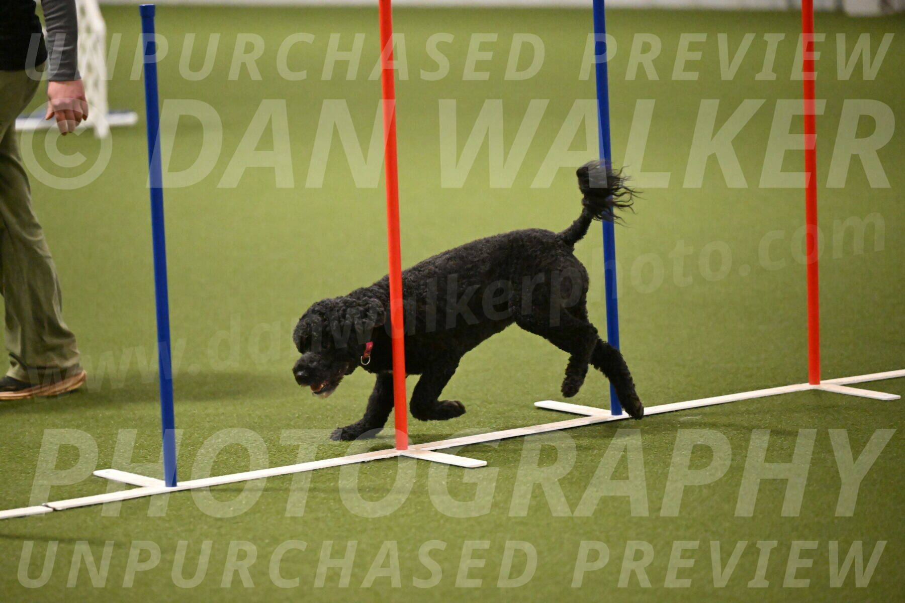 Nixie-Stacie-Rosenburg-00462