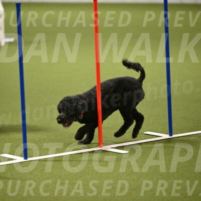 Nixie-Stacie-Rosenburg-00463