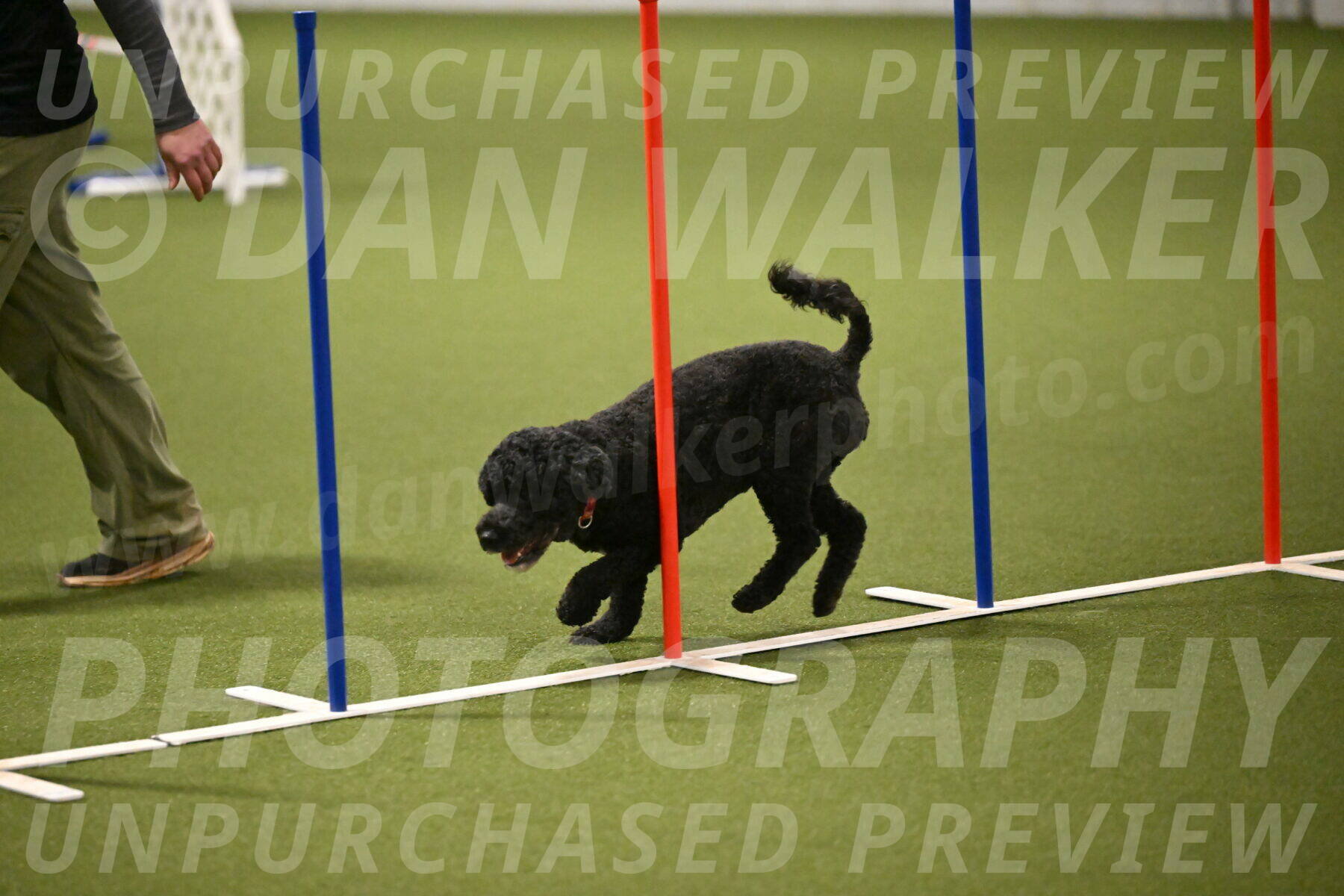 Nixie-Stacie-Rosenburg-00463