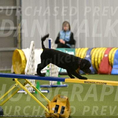 Nixie-Stacie-Rosenburg-00464