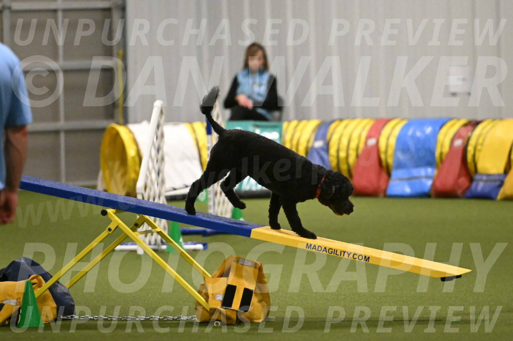 Nixie-Stacie-Rosenburg-00465