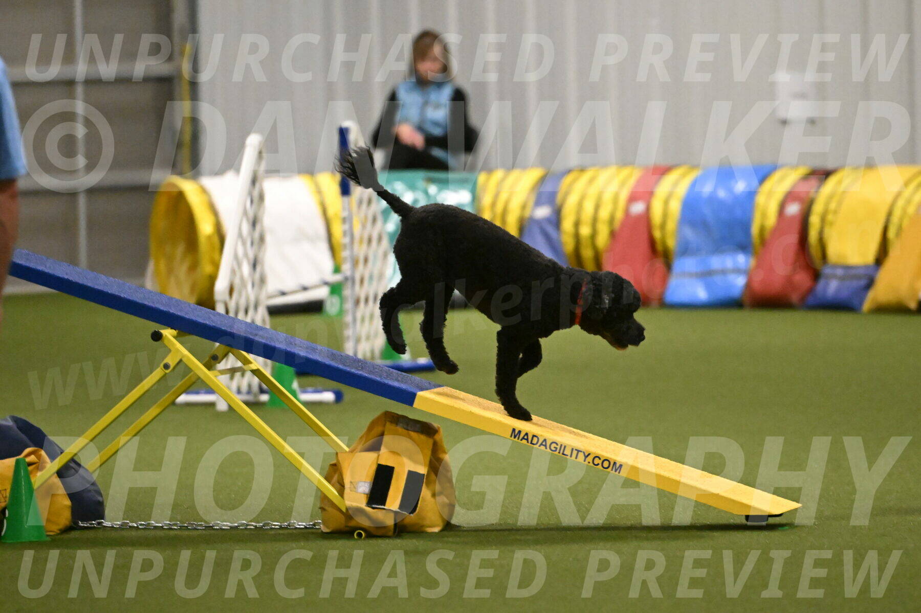 Nixie-Stacie-Rosenburg-00466