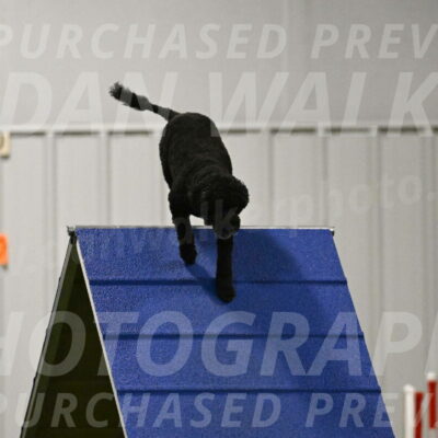 Nixie-Stacie-Rosenburg-00467