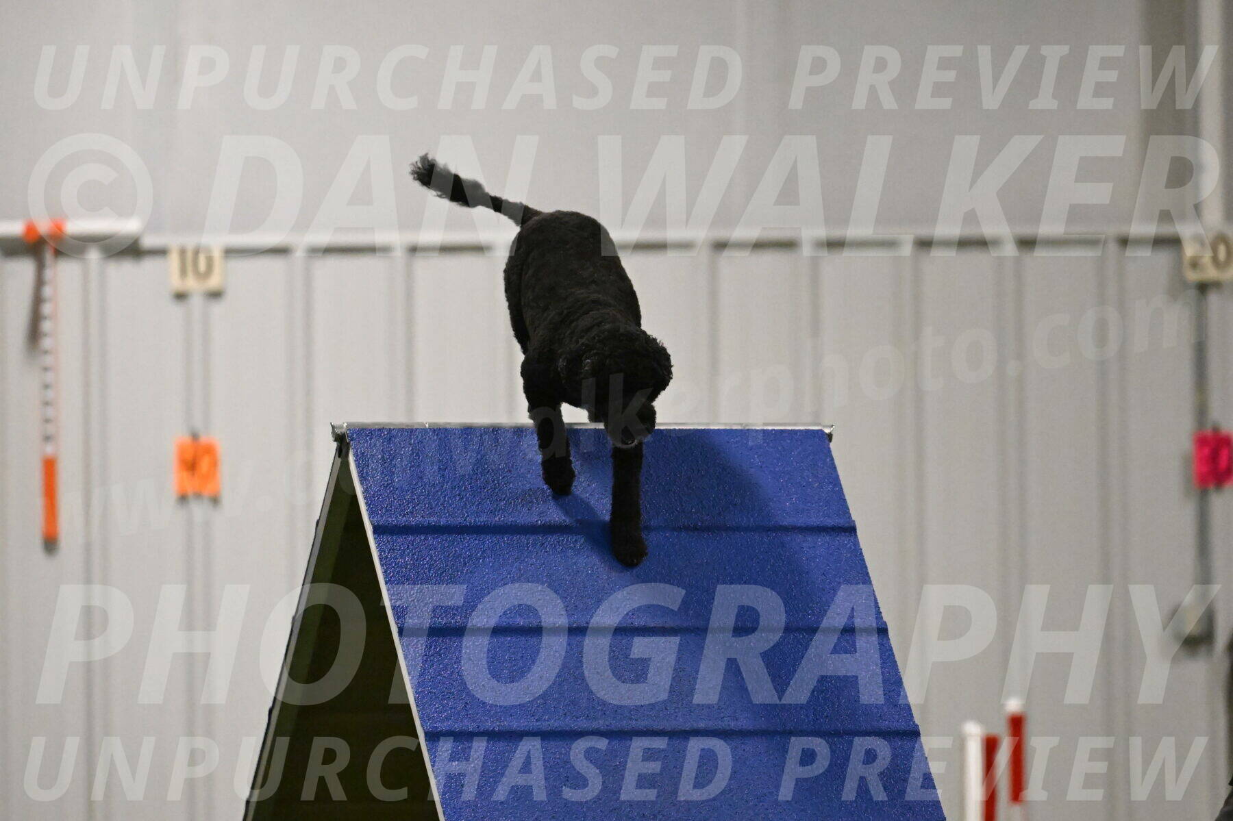 Nixie-Stacie-Rosenburg-00467