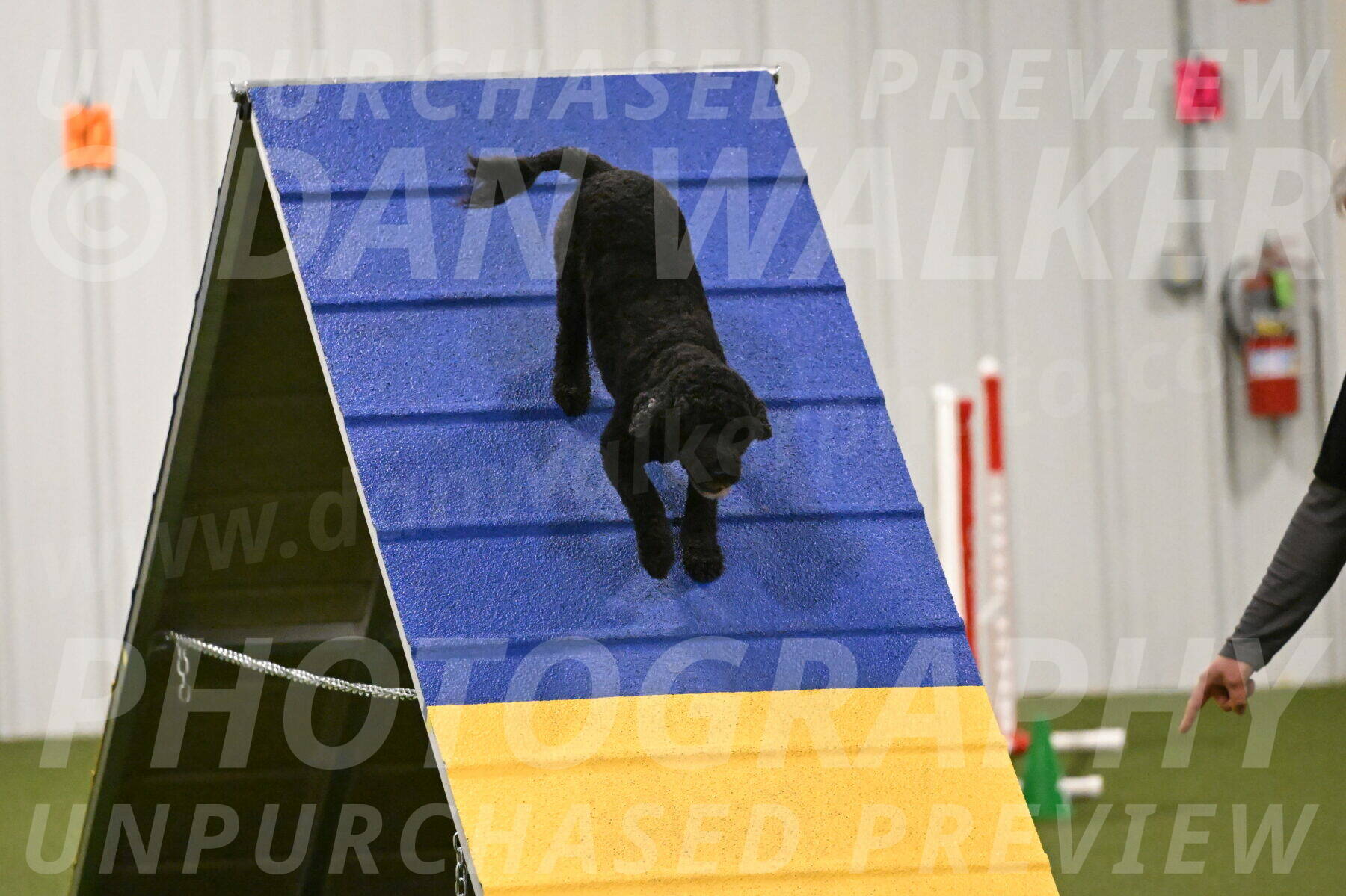 Nixie-Stacie-Rosenburg-00468