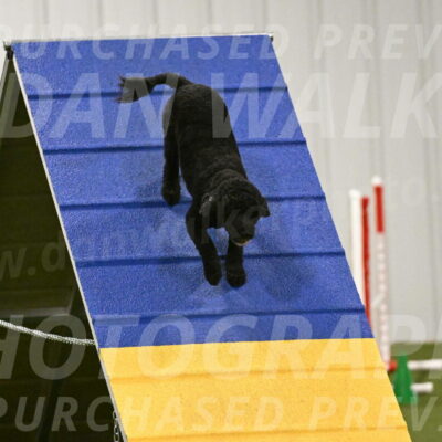 Nixie-Stacie-Rosenburg-00468