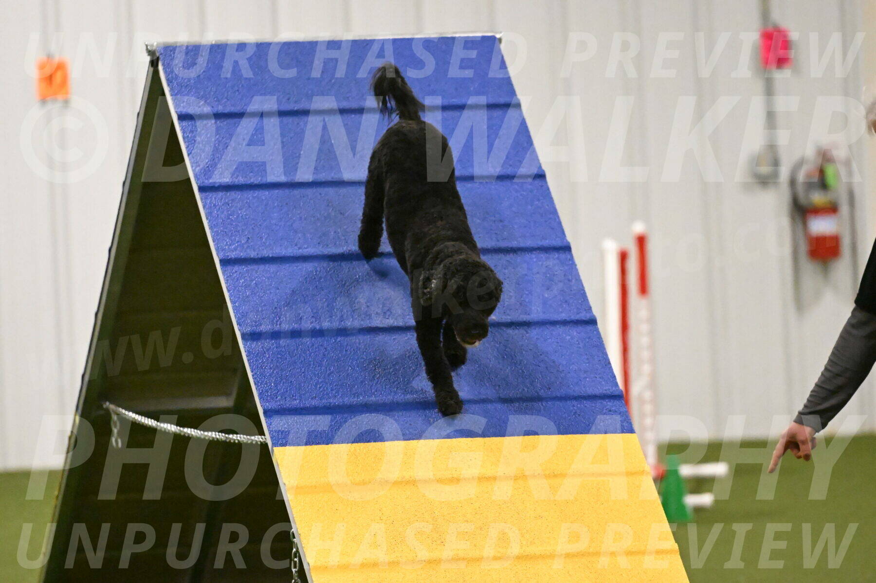 Nixie-Stacie-Rosenburg-00469