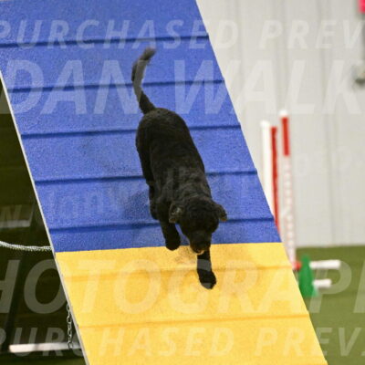 Nixie-Stacie-Rosenburg-00470