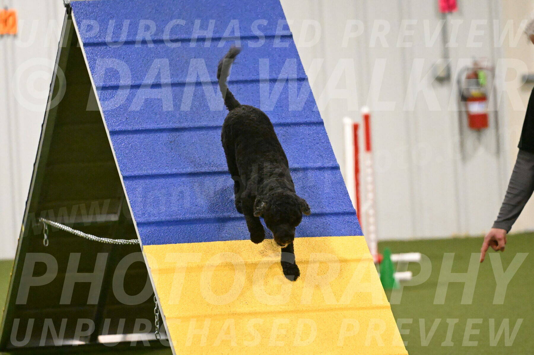 Nixie-Stacie-Rosenburg-00470