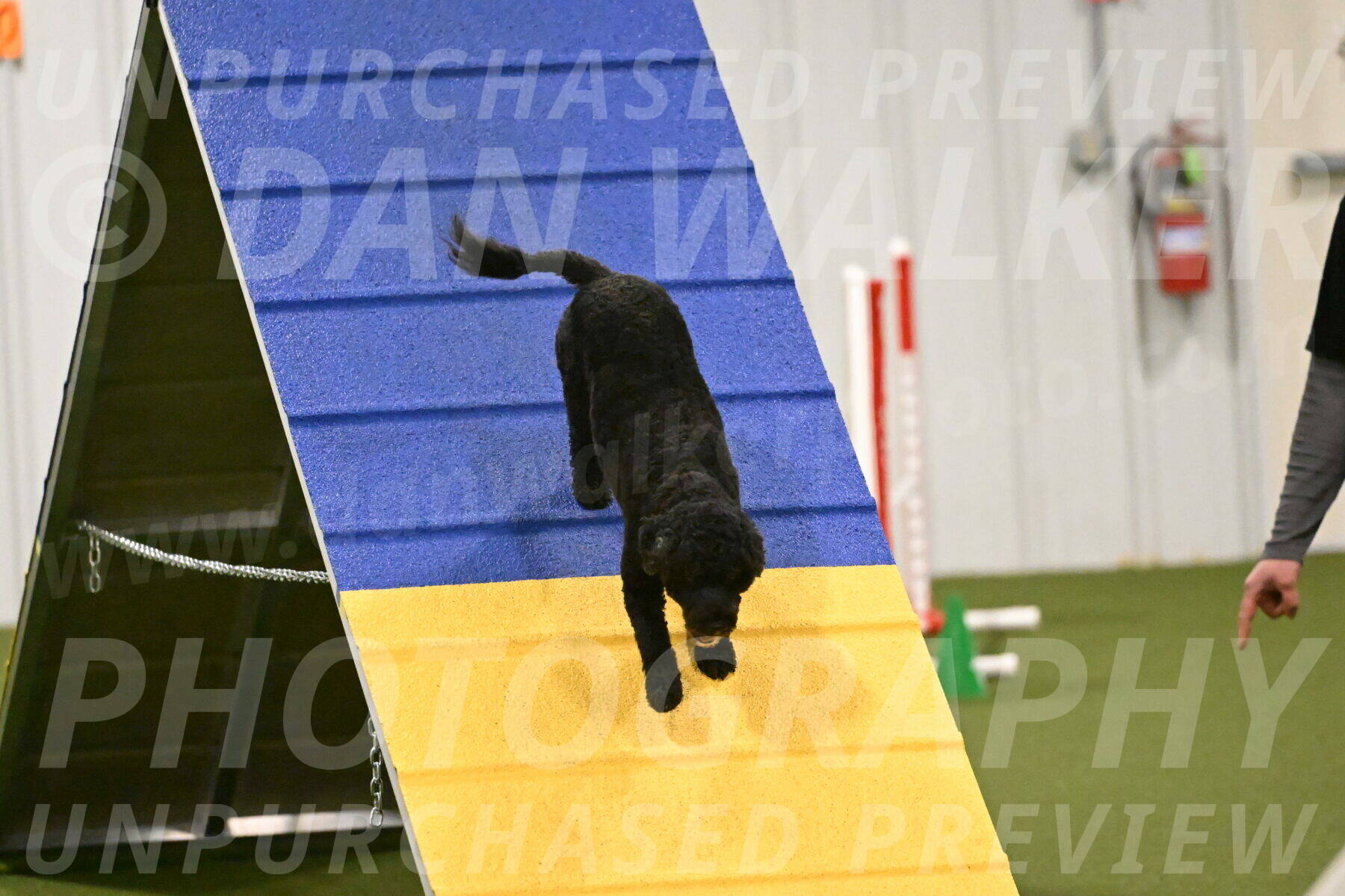 Nixie-Stacie-Rosenburg-00471