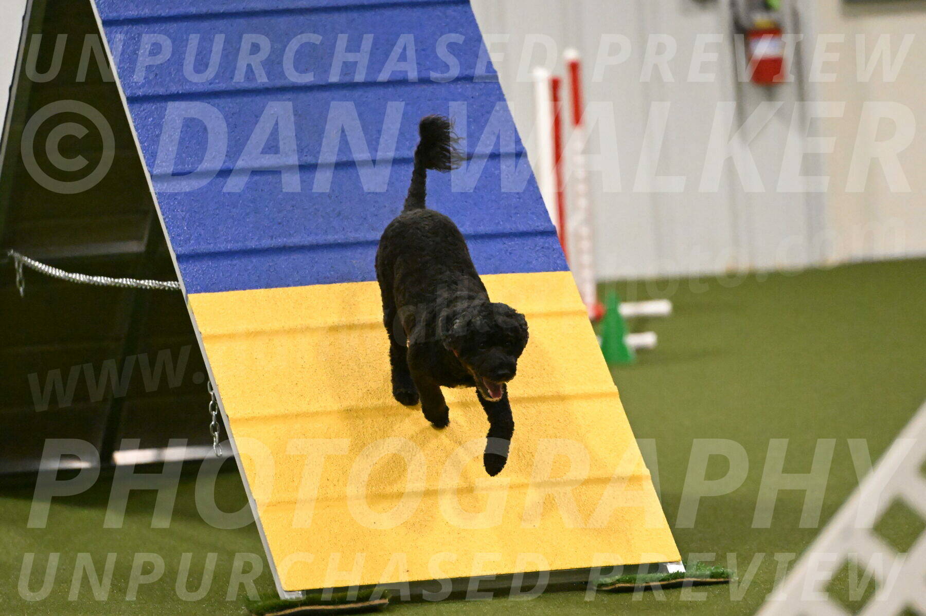 Nixie-Stacie-Rosenburg-00472