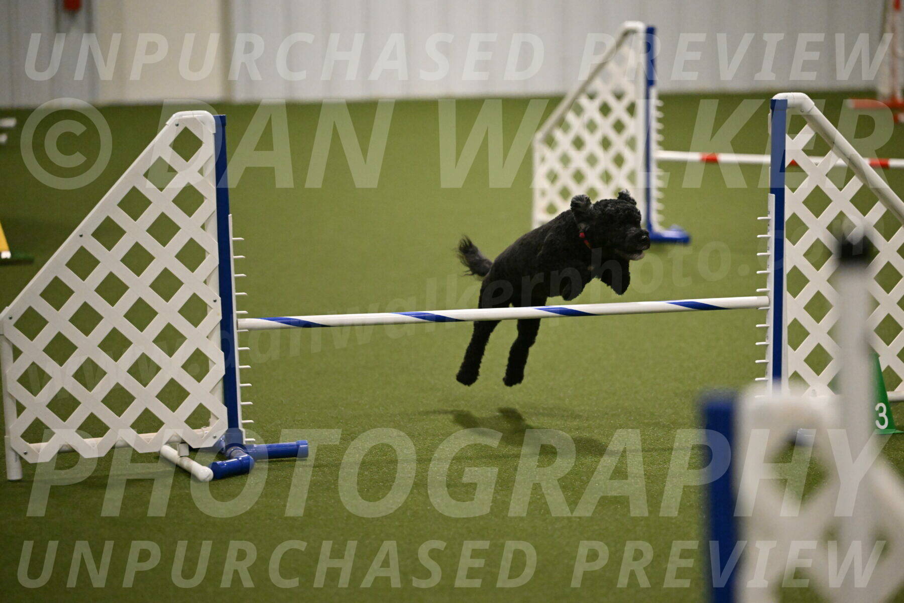 Nixie-Stacie-Rosenburg-00473