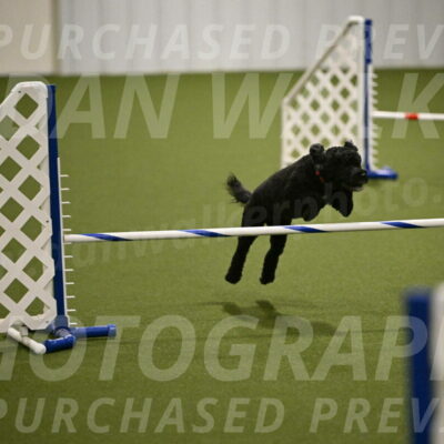 Nixie-Stacie-Rosenburg-00473