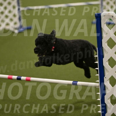 Nixie-Stacie-Rosenburg-00474