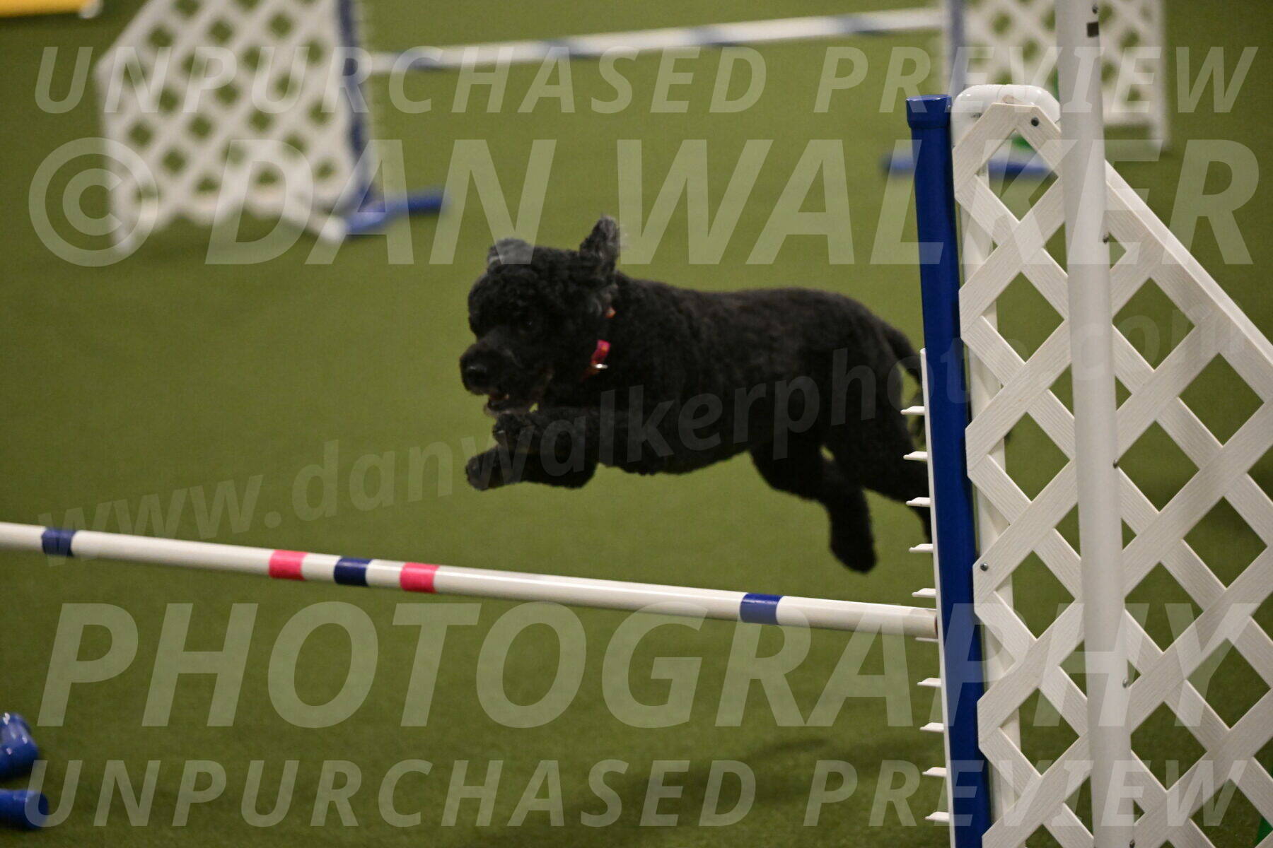 Nixie-Stacie-Rosenburg-00474