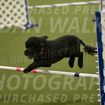 Nixie-Stacie-Rosenburg-00475