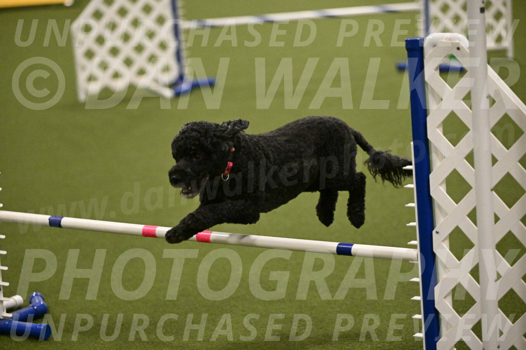 Nixie-Stacie-Rosenburg-00475