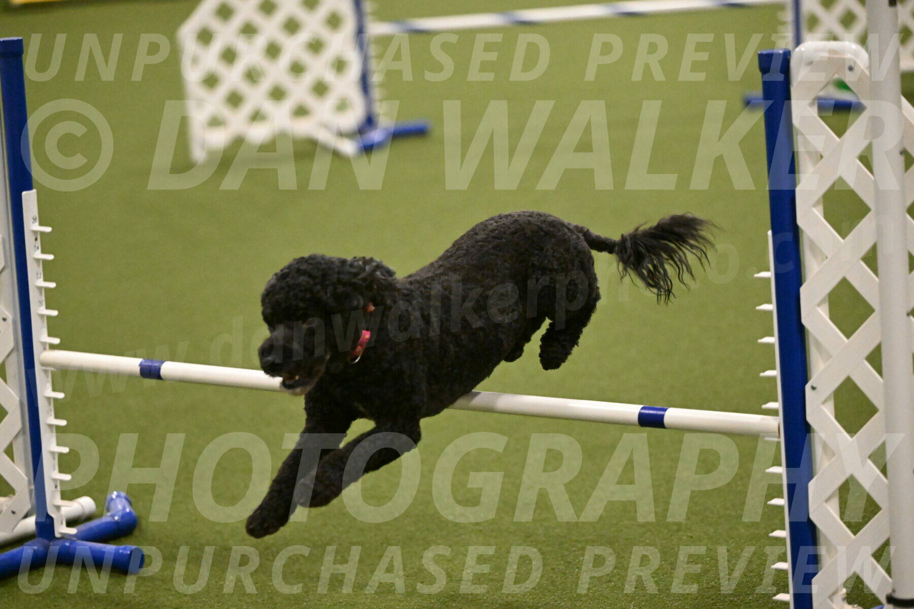 Nixie-Stacie-Rosenburg-00476