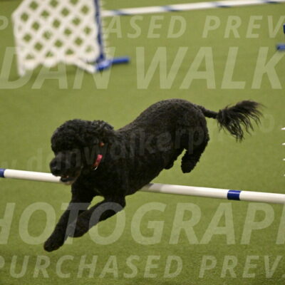 Nixie-Stacie-Rosenburg-00476