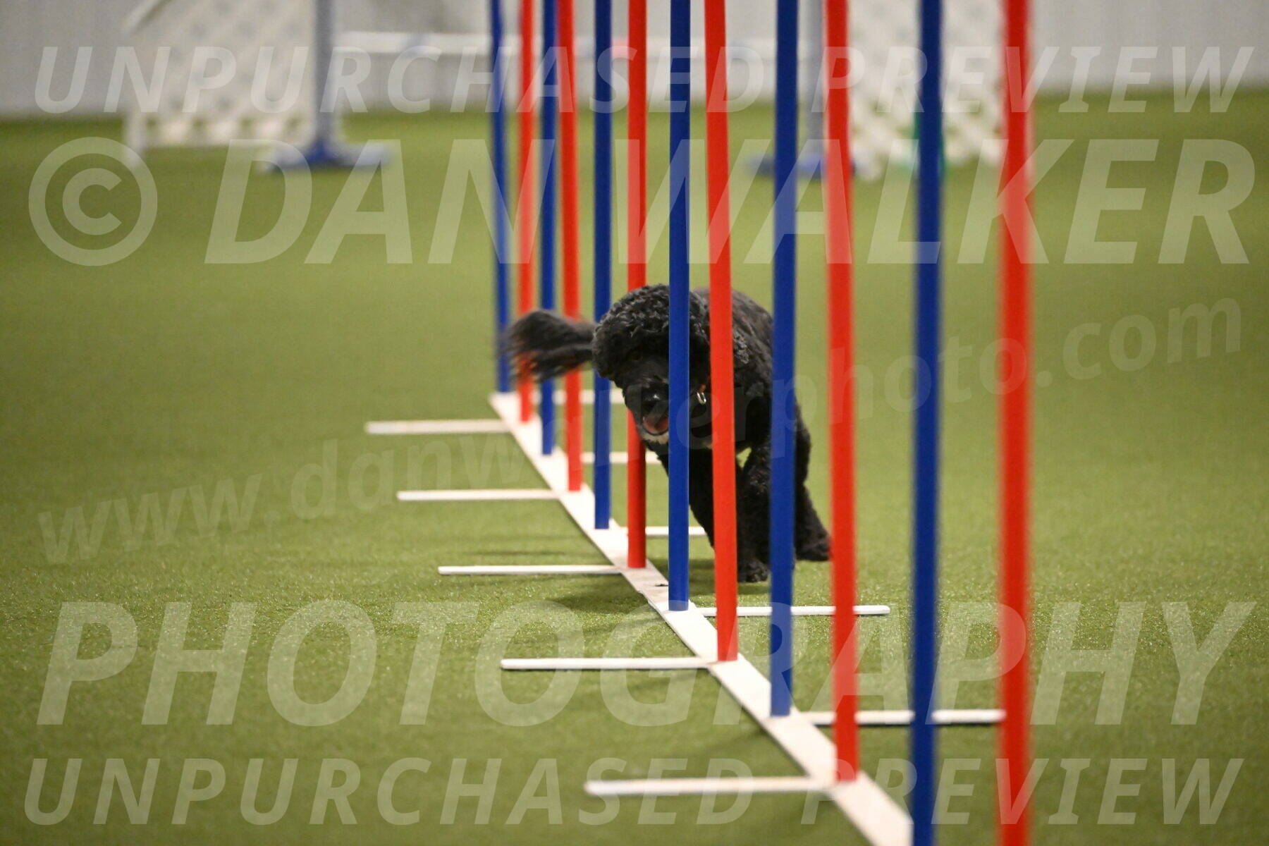 Nixie-Stacie-Rosenburg-00477