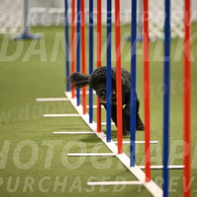 Nixie-Stacie-Rosenburg-00477