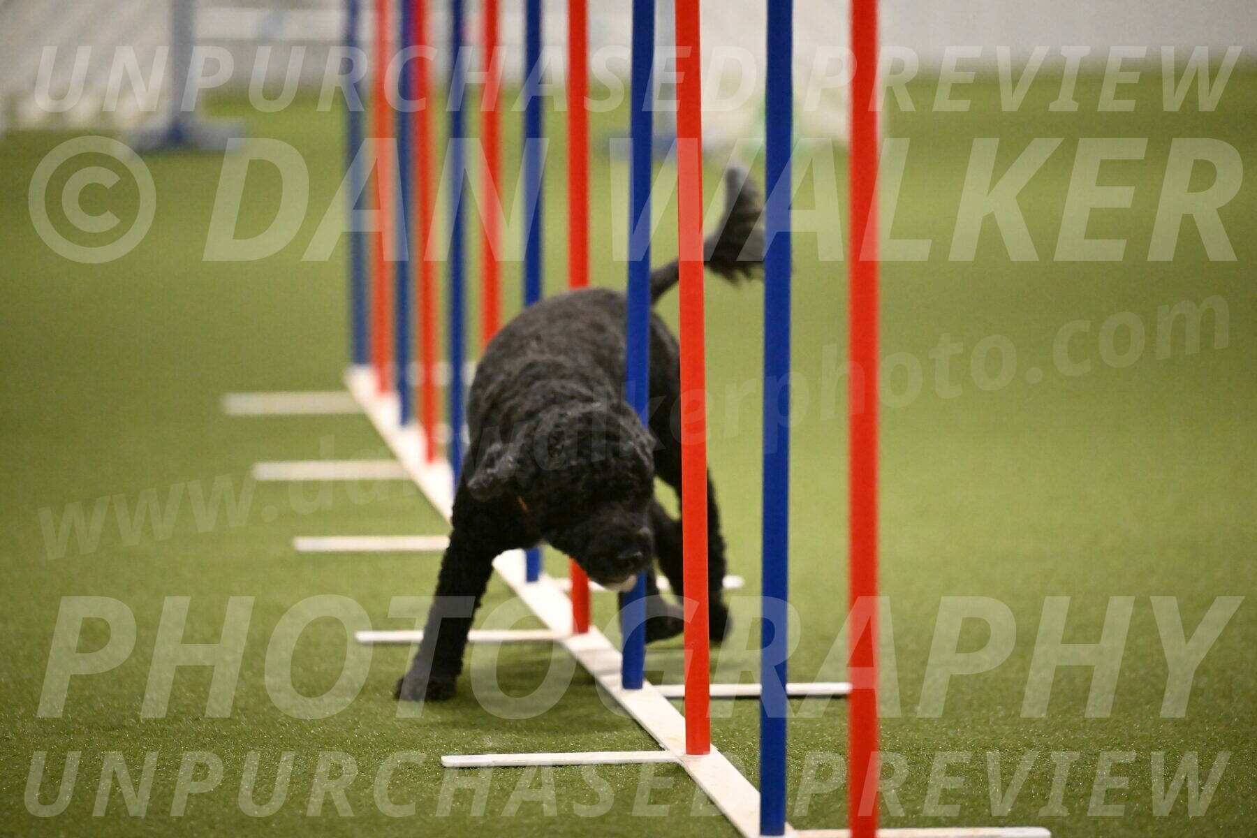 Nixie-Stacie-Rosenburg-00478