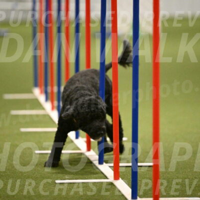 Nixie-Stacie-Rosenburg-00478