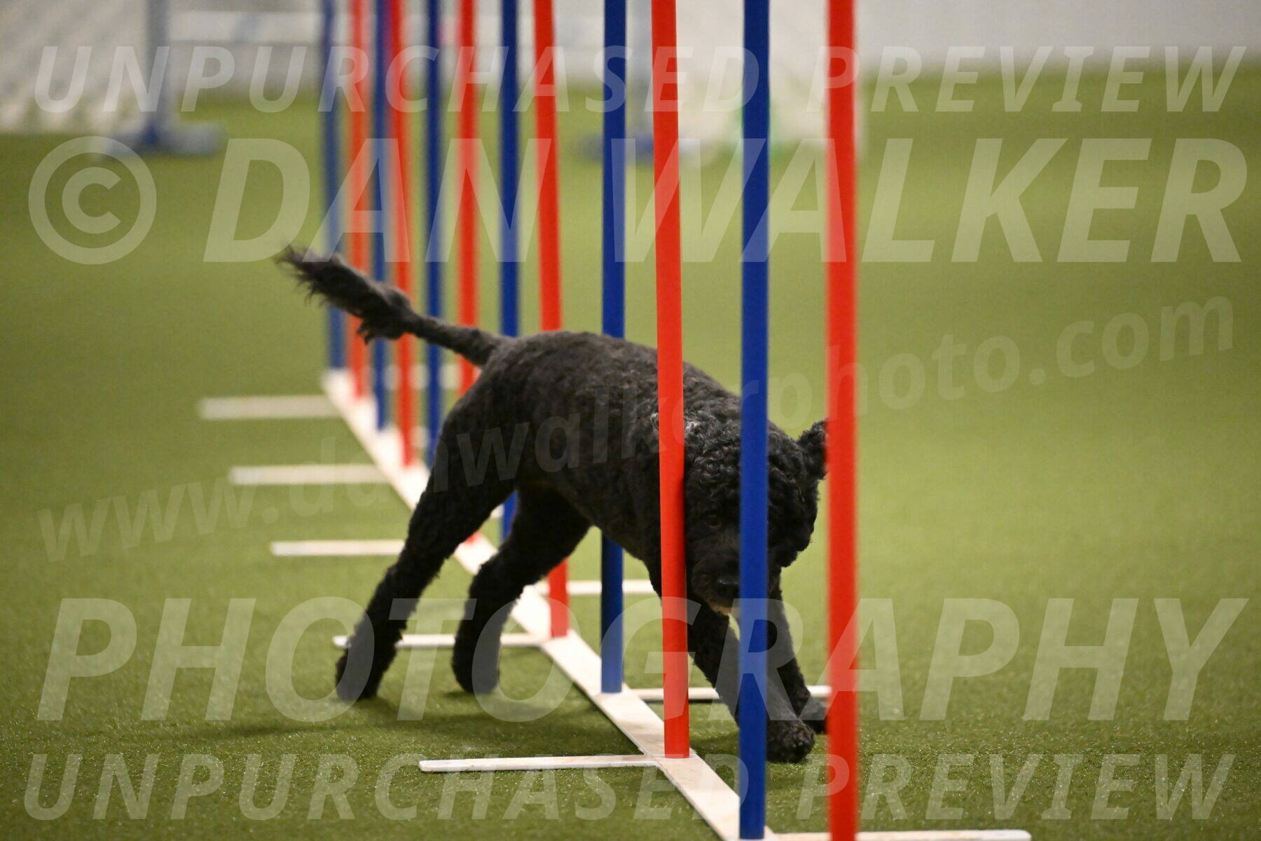 Nixie-Stacie-Rosenburg-00479