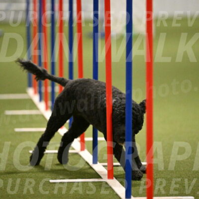 Nixie-Stacie-Rosenburg-00479