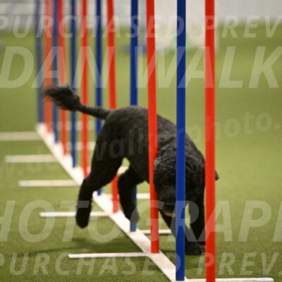 Nixie-Stacie-Rosenburg-00480