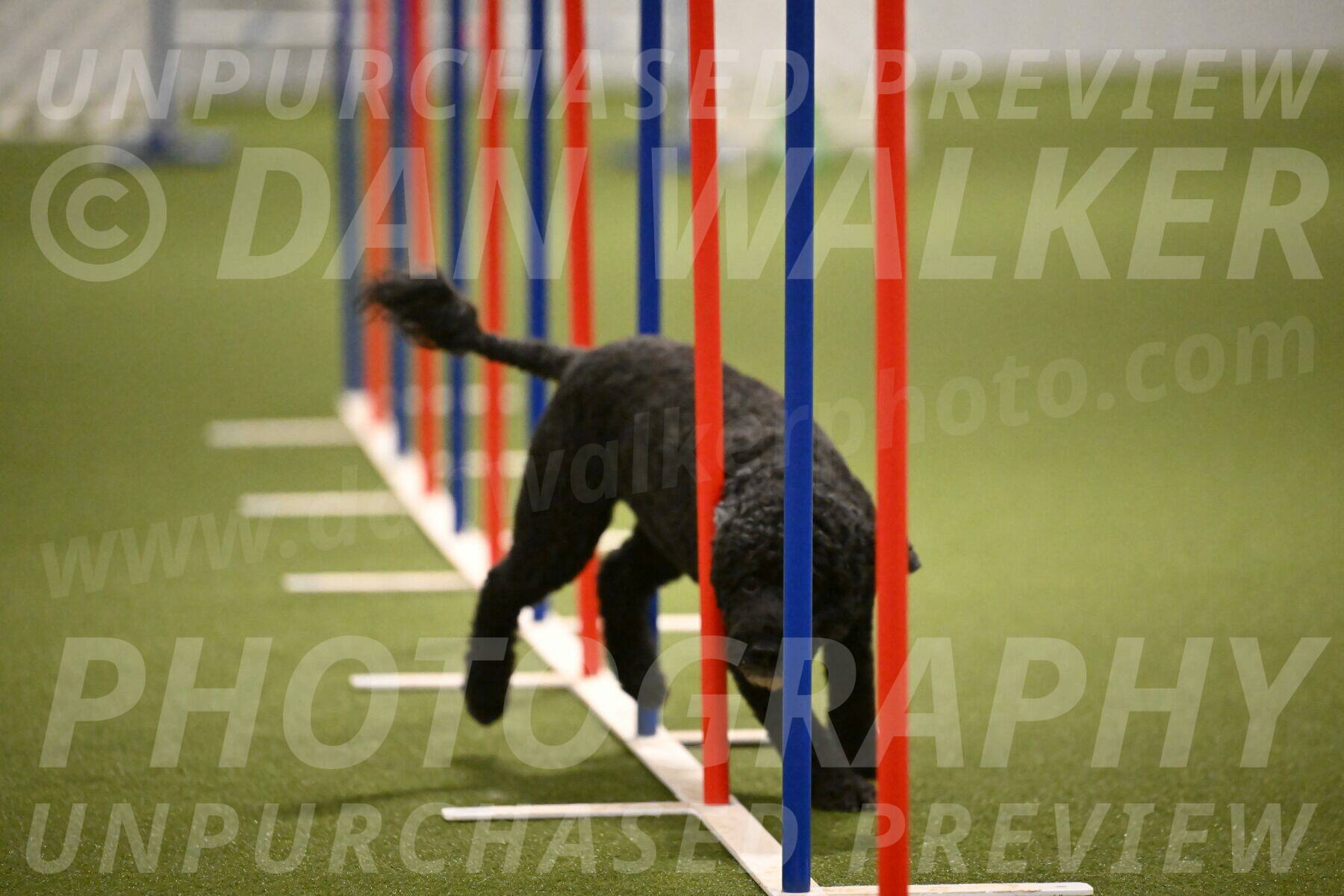 Nixie-Stacie-Rosenburg-00480