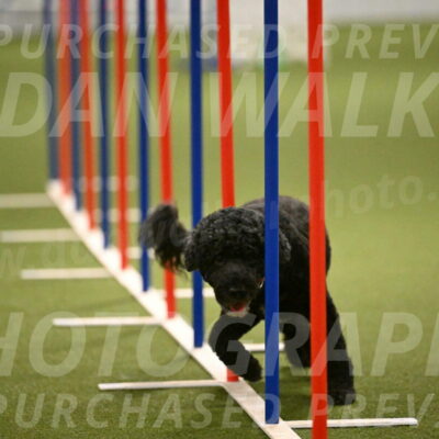 Nixie-Stacie-Rosenburg-00481