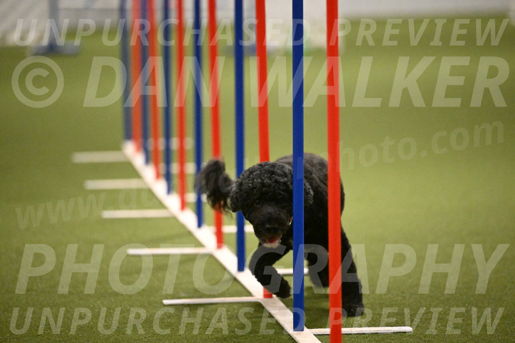 Nixie-Stacie-Rosenburg-00481