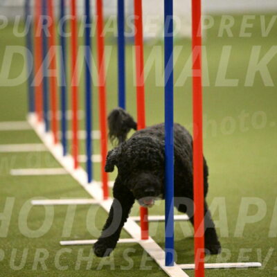 Nixie-Stacie-Rosenburg-00482