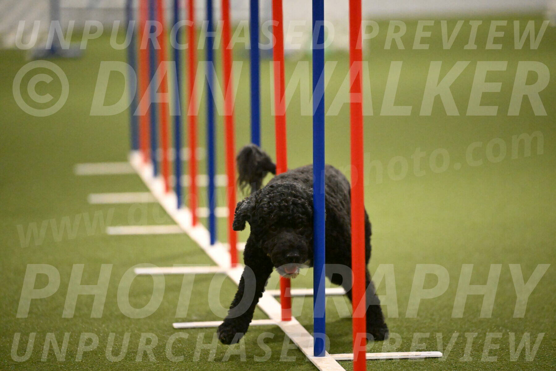 Nixie-Stacie-Rosenburg-00482