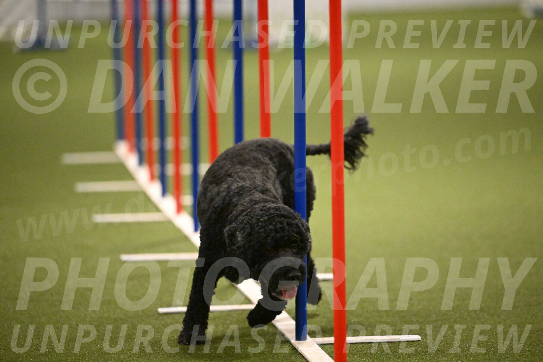 Nixie-Stacie-Rosenburg-00483