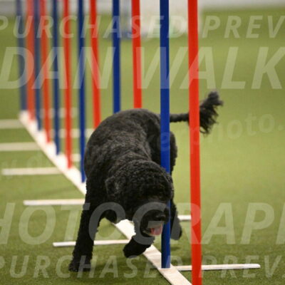 Nixie-Stacie-Rosenburg-00483